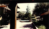 09_c