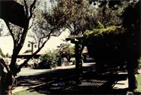 09_d